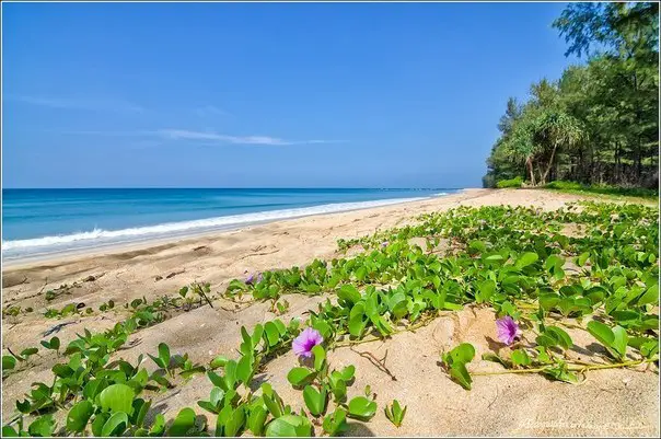 Thailand