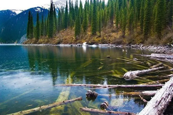 Lake Kaindy - sunken forest in Kazakhstan