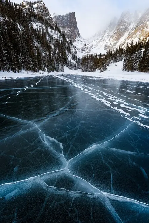 Природа Северной Америки
