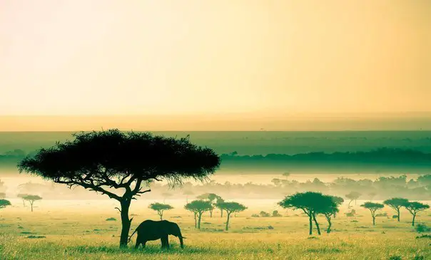 Kenya is the heart of Black Africa