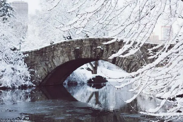 Зимний Центральный парк, Нью-Йорк, США