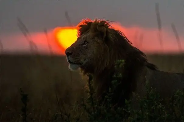 Sunsets in Kenya