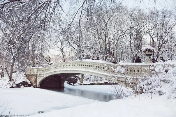Зимний Центральный парк, Нью-Йорк, США