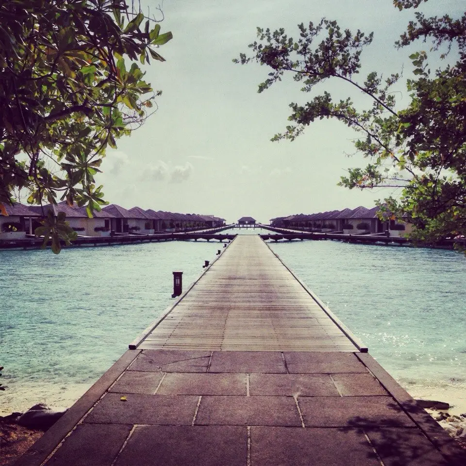 Maldives ❤️