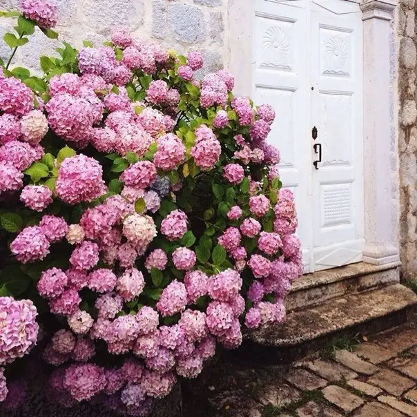Paris, France