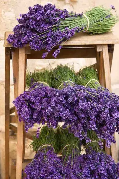 Beautiful Provence, France