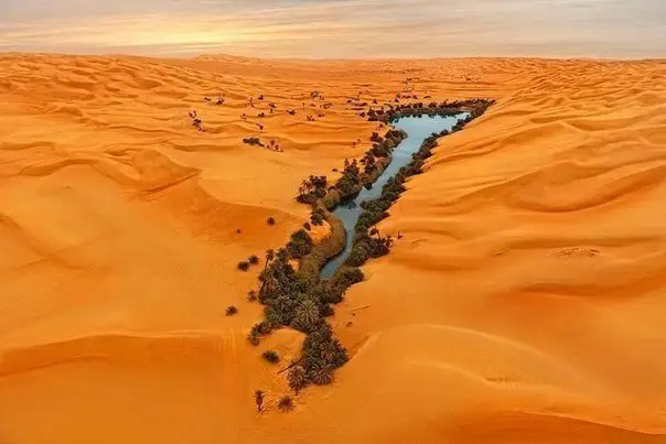 Oasis in the Libyan Desert