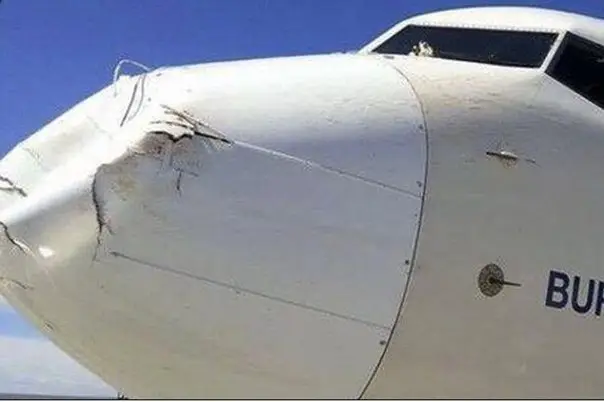After a frontal collision with a bird
