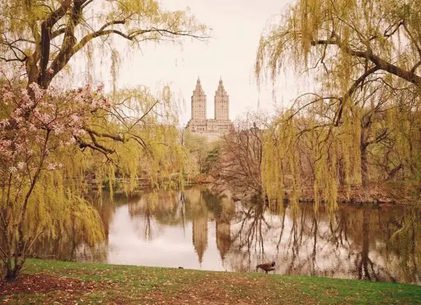 Весна на улицах Нью-Йорка, США