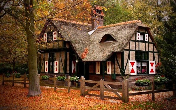 Самые красивые дома в лесу