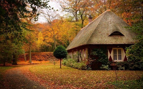 The most beautiful houses in the forest