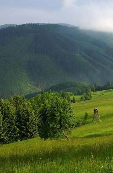 Моравия, Чехия