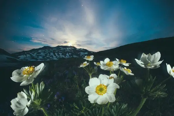 Ночная Камчатка