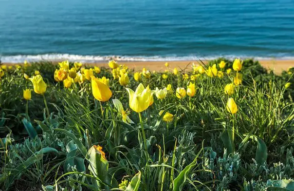 Красоты Крыма