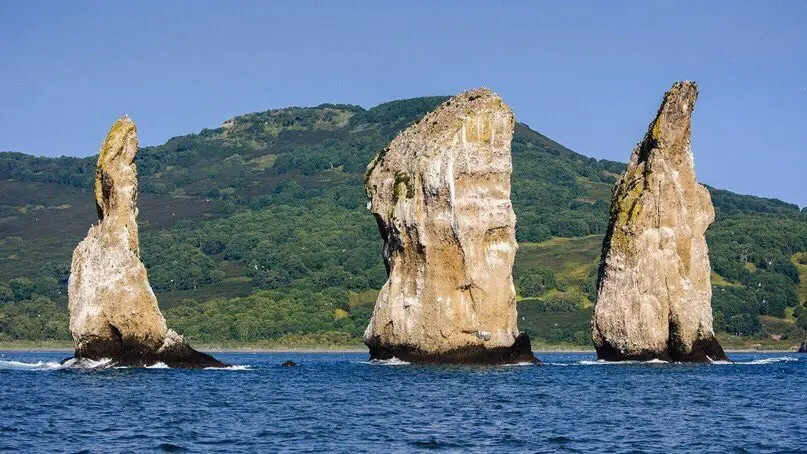 Дикая Камчатка