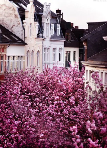 Бонн, Германия