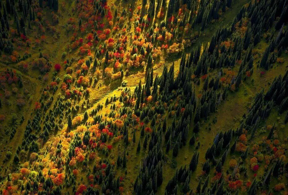 Осень в горах Казахстана