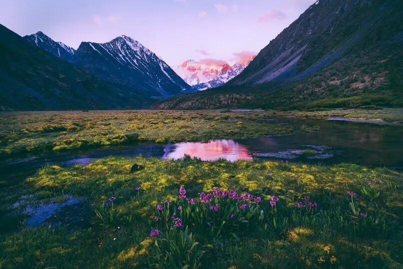 Русские красоты