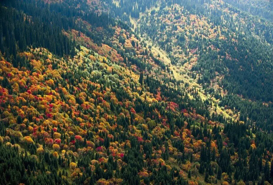 Autumn in the mountains of Kazakhstan