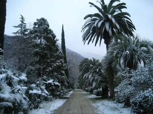 Abkhazia in the winter