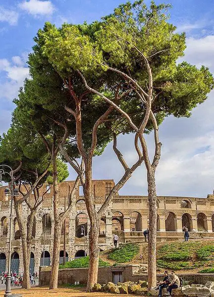 Rome, Italy