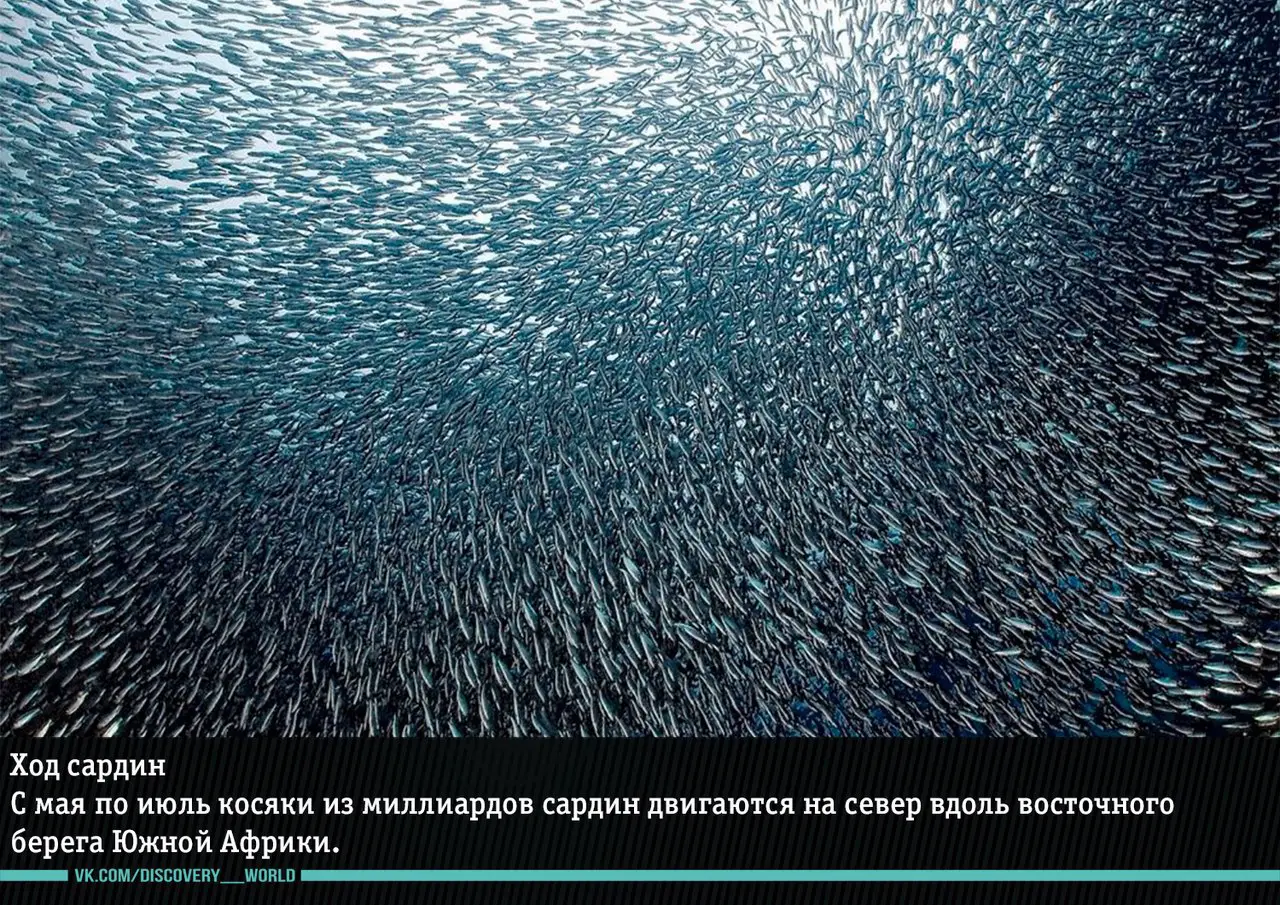 Удивительные явления природы, в которые трудно поверить