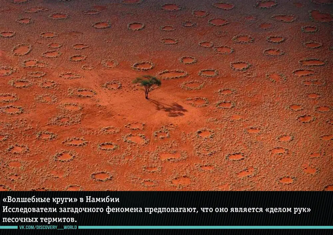 Удивительные явления природы, в которые трудно поверить