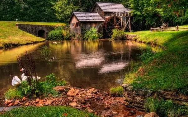 Alone with nature: the perfect houses in the forest