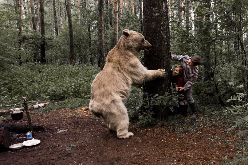 Медведь Степан пропагандирует отказ от охоты