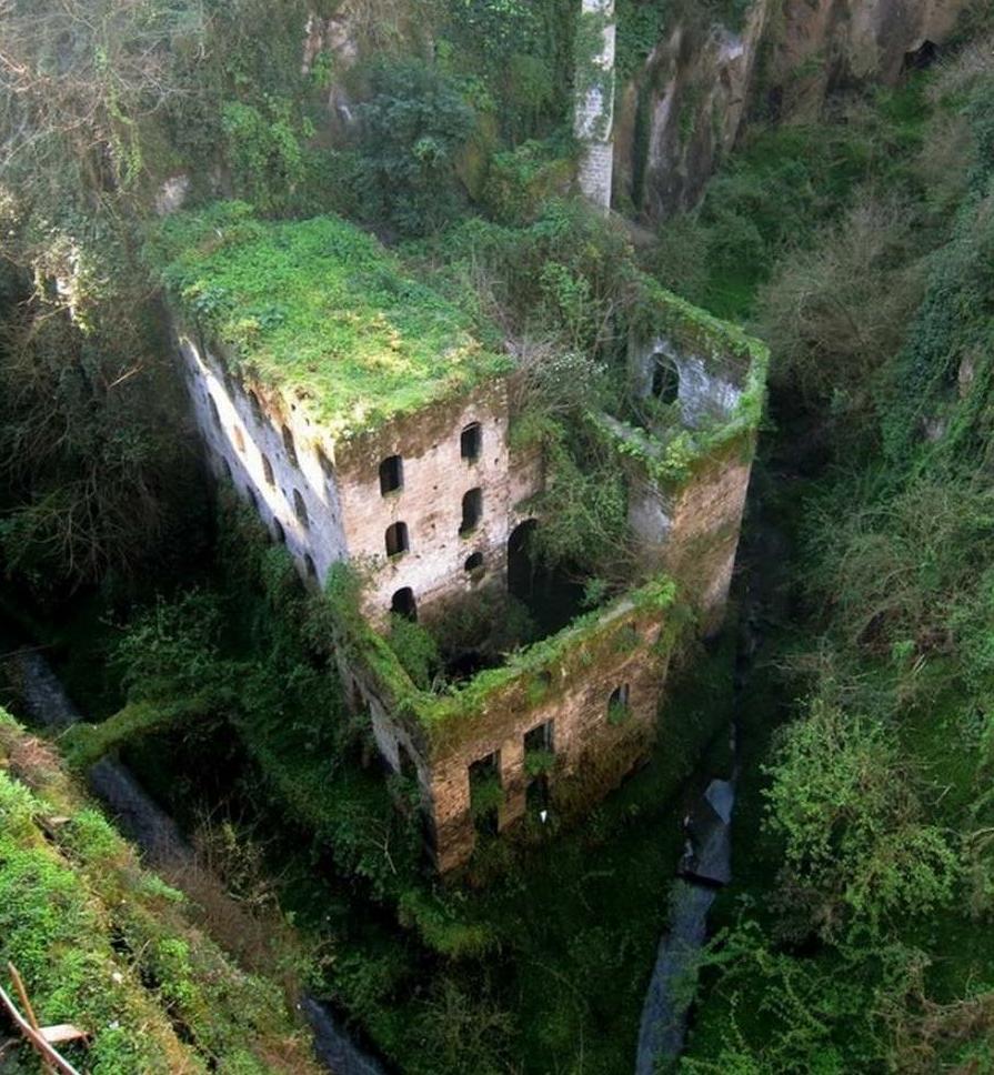 The beauty of abandoned castles.
