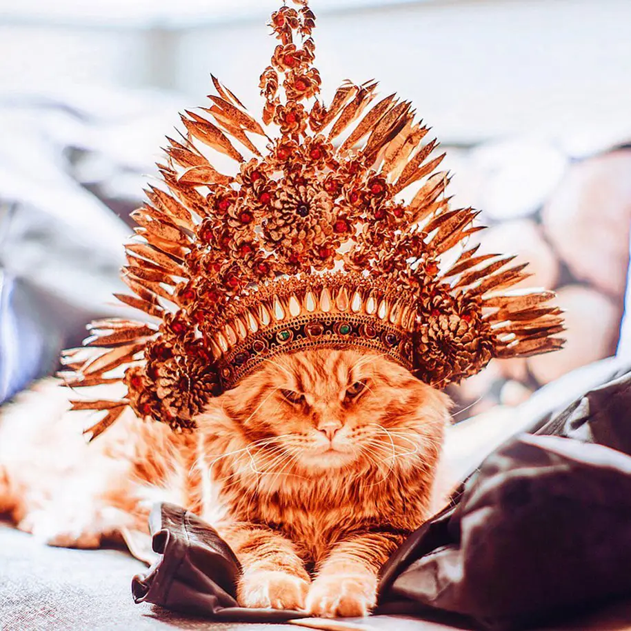 Осенний антидепрессант по имени Котлета от фотографа Кристины Макеевой.