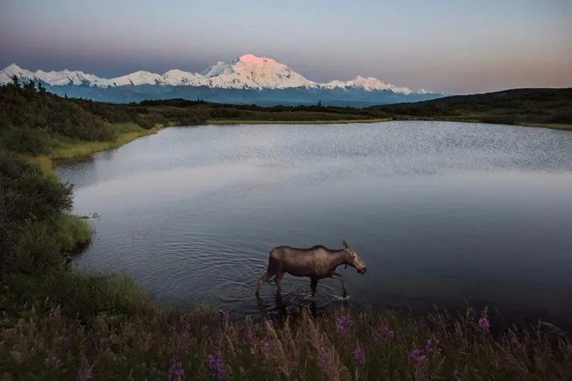 Alaska