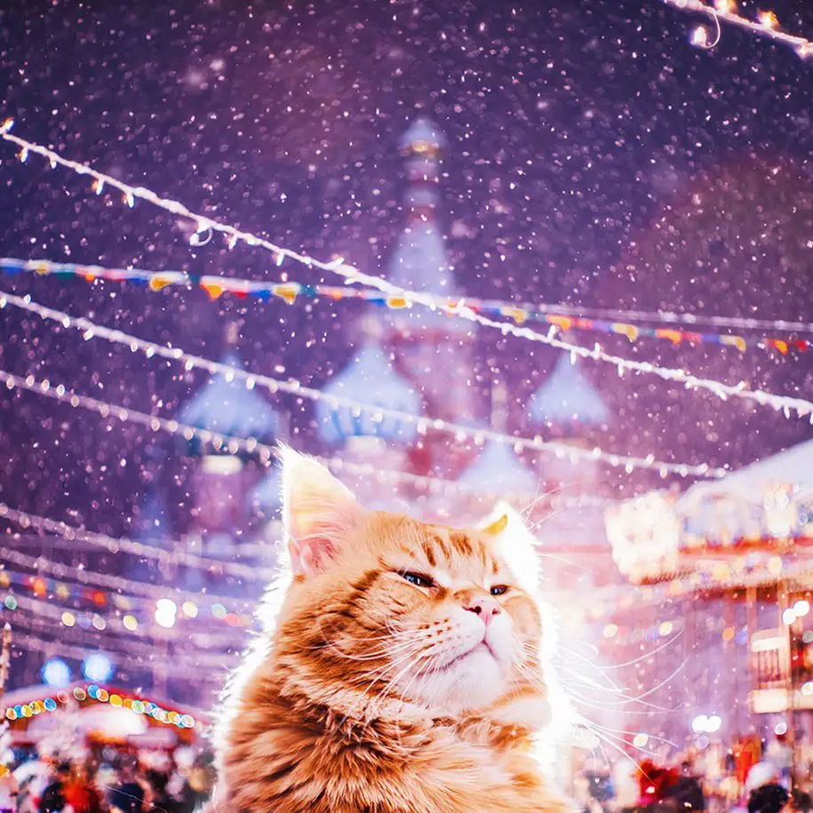 Осенний антидепрессант по имени Котлета от фотографа Кристины Макеевой.