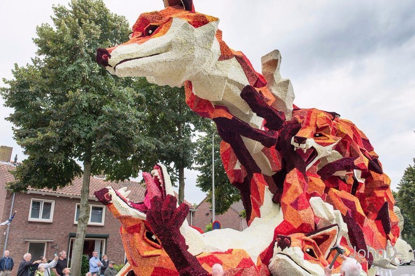 Ежегодный парад цветов в Нидерландах. 