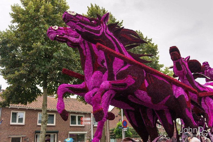Ежегодный парад цветов в Нидерландах. 