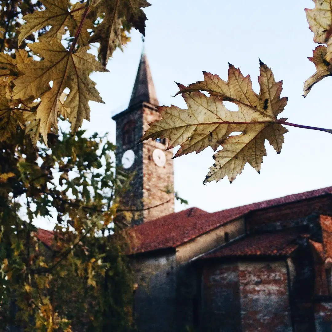 Salusola (Italy)