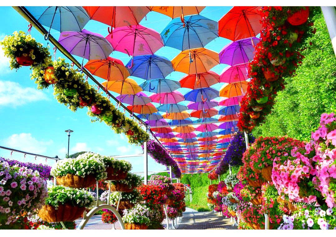 Avenue of floating umbrellas in Dubai