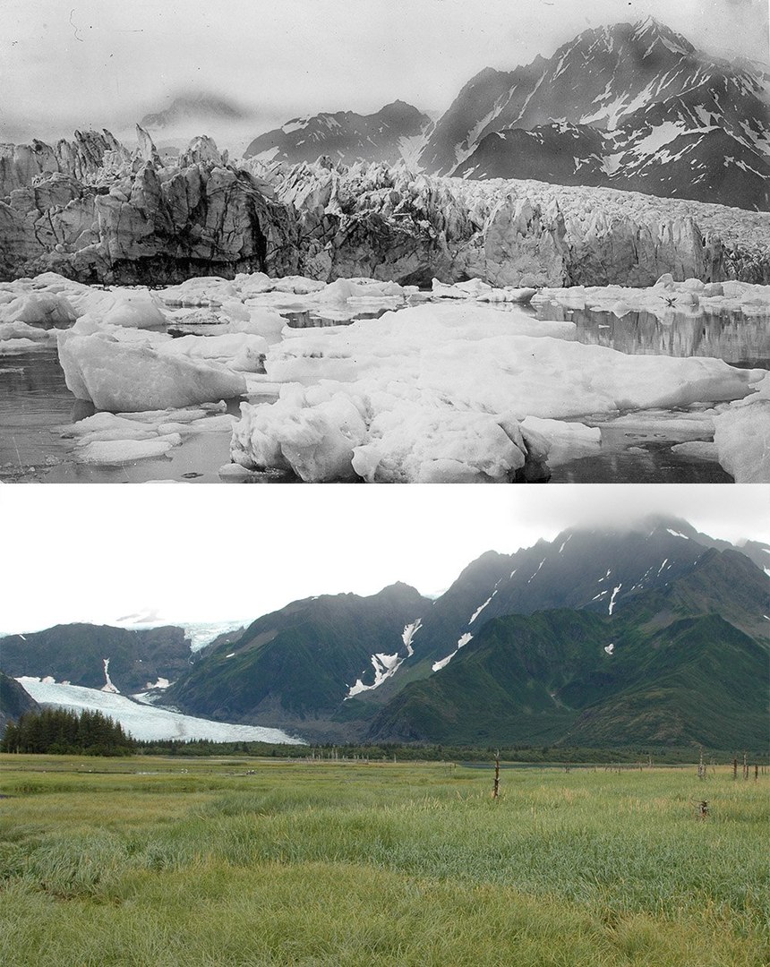 The Pederson Glacier, Alaska. Summer of 1917 - summer of 2005