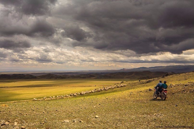 Таинственная Монголия