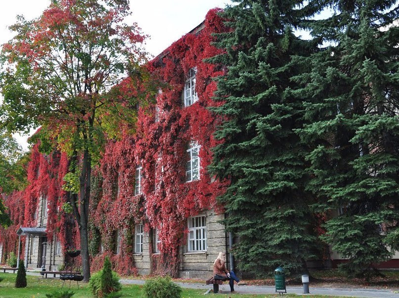 Гродненский государственный университет, Беларусь