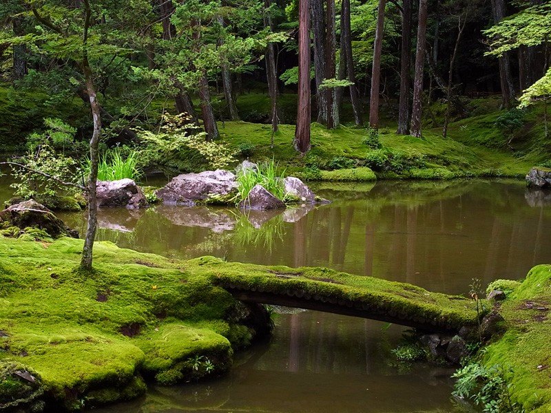 Сад мхов сайходзи, Япония