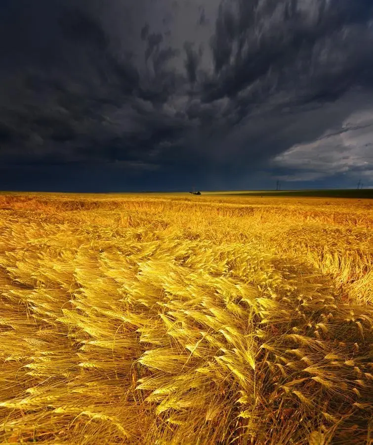 Ukraine