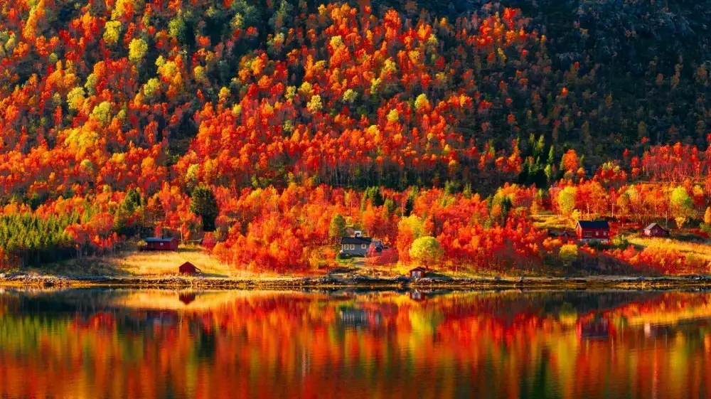 Nature as if reaches its peak and puts on the most vivid outfits.