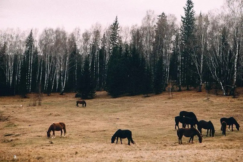 Siberia, Russia