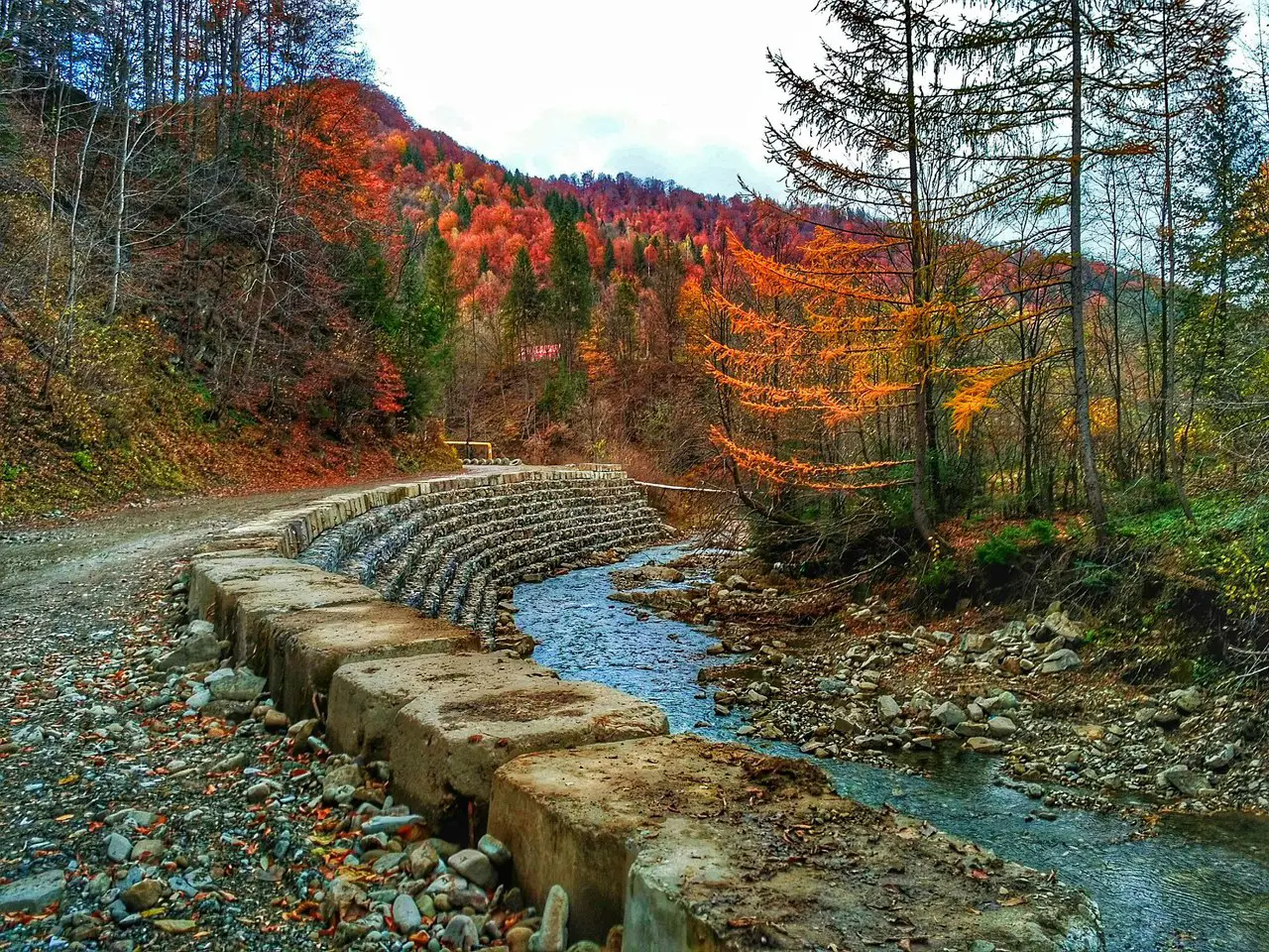 Карпаты, Украина
