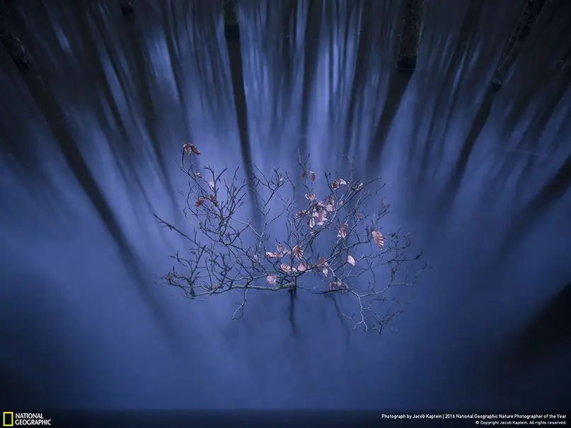 Победители важнейшего фото-конкурса National Geographic 2016