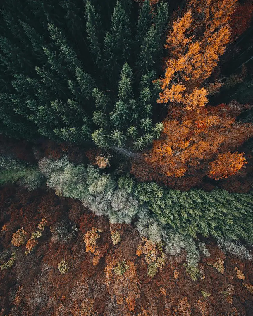 Гейерлі, Мерсдорф, Німеччина