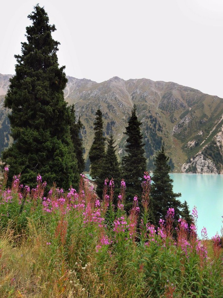 Big Almaty Lake (BAO) and surroundings. Kazakhstan, Almaty region.