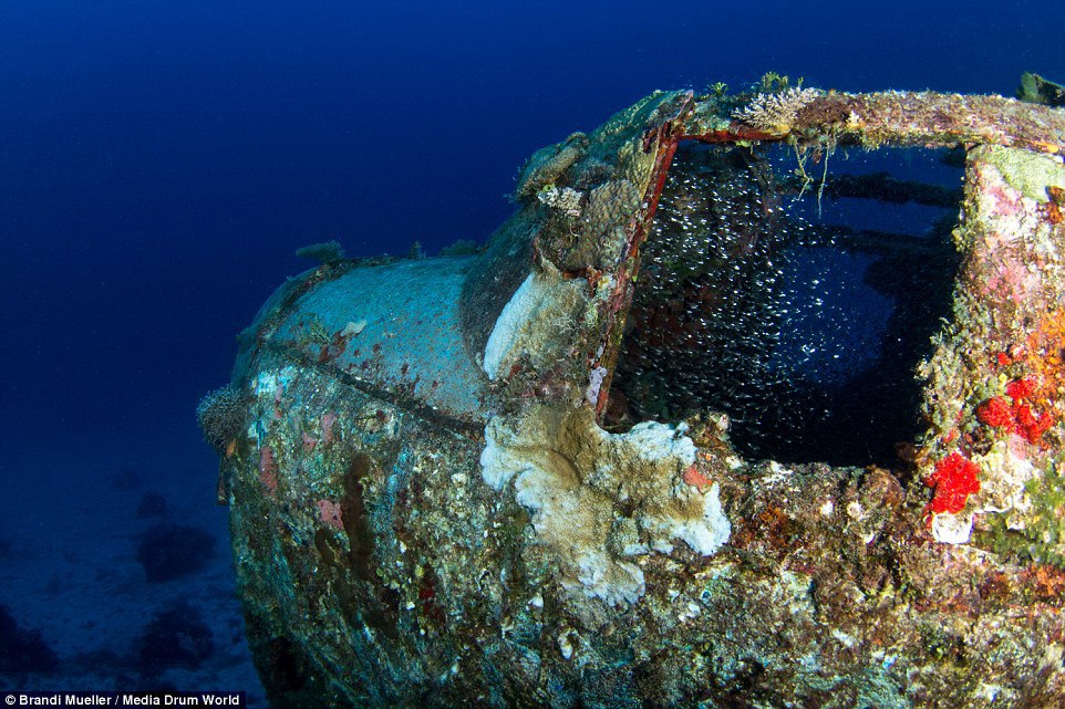 Underwater World War II aircraft cemetery