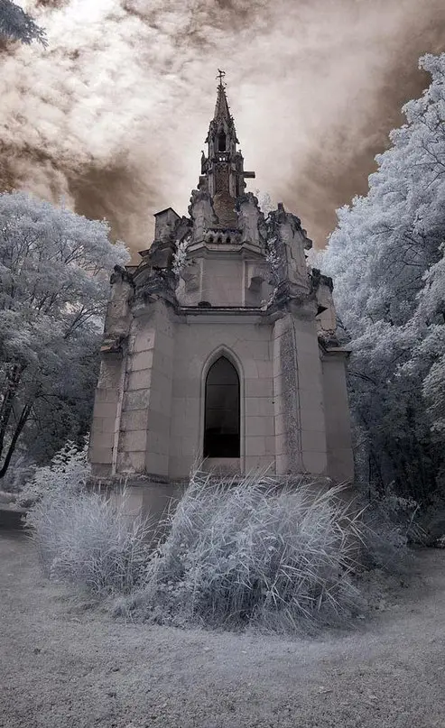 Замок Château de la Mothe-Chandeniers, Франция